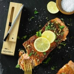 Traeger Canada BBQ Accessories MEATER Plus Wireless Remote Thermometer - RT1-MT-MP01 Probe