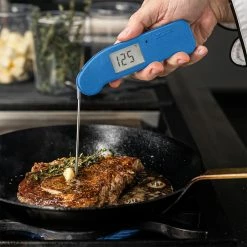 Thermoworks Thermapen ONE